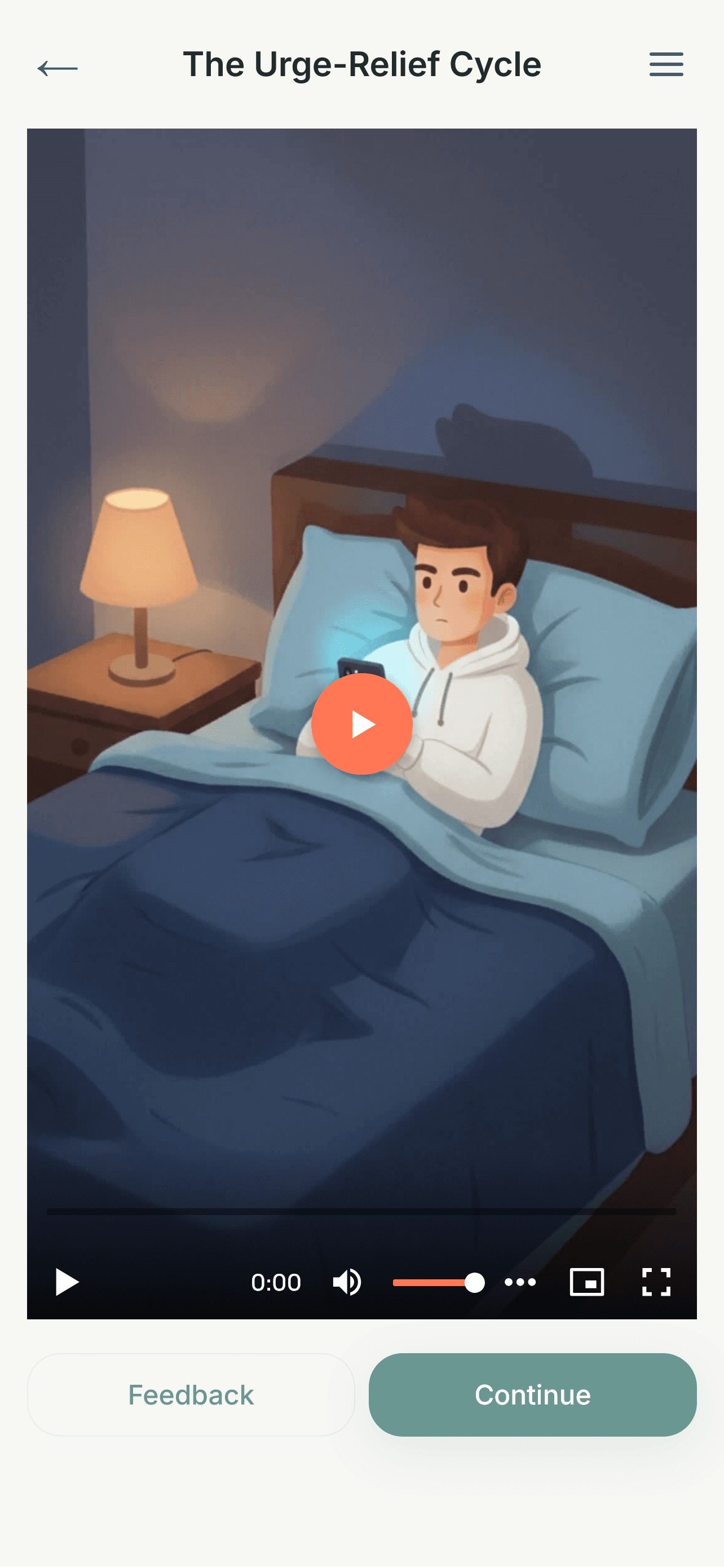 Preview of a video course lesson screen